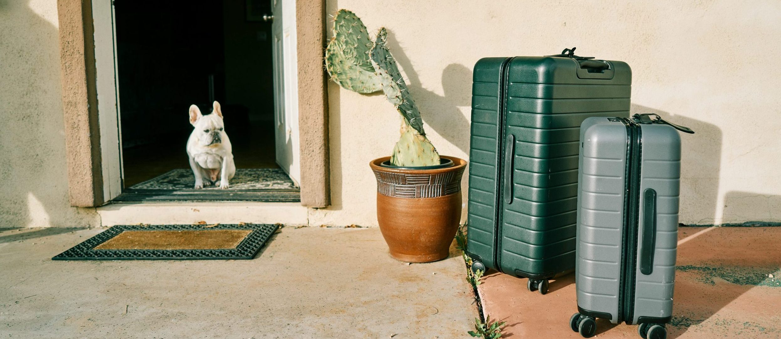 selitev v tujino, kovčki in kuža